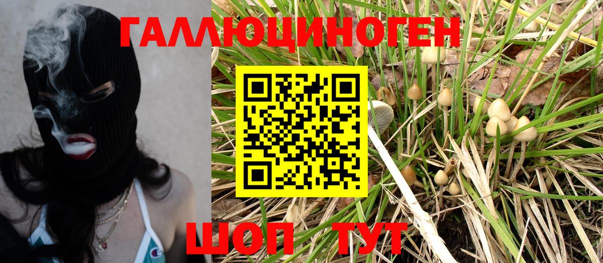 Псилоцибиновые грибы Magic Shrooms  Вход с VPN  Губкин 